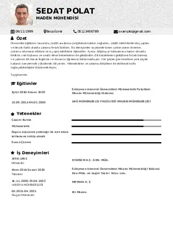 Maden Mühendisi Cv Örnekleri cv indir